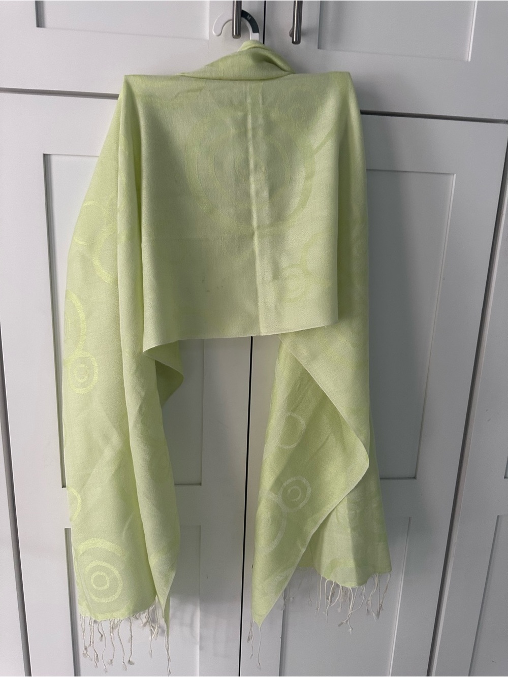 pashmina Pale Lime Jacquard Shawl with Fringe